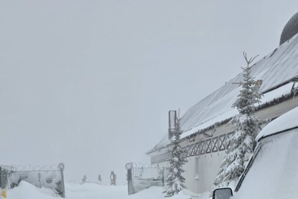 drum acoperit cu zapada in zona turistica de la horezu politia a restrictionat circulatia 69c788e6993d9