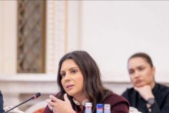 gabriela horga pnl sustine ca psd impinge romania intr o criza bugetara prin populism si decizii iresponsabile 69a85fe16fd09