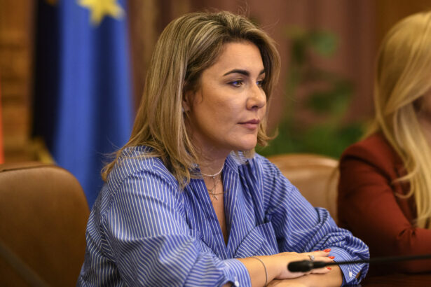 gianina serban deputat aur cerem demisia ministrului de externe oana toiu cetatenii romani nu pot fi tratati cu dispret 69aad659e45ee