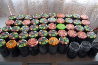 icre negre si zeci de kilograme de sturion gasite la braconieri in judetul constanta 69b15e9722a5f