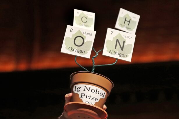 ig nobels to move awards to europe due to concern over us travel visas 69af61b30107b