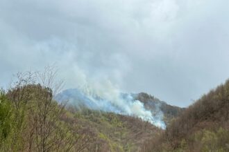 incendiu de proportii in maramures ard vegetatie uscata si litiera 69ad84ea3052a