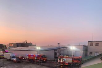 incendiu intr o hala din carei flacarile au cuprins un depozit de lemne 69afd7263a332