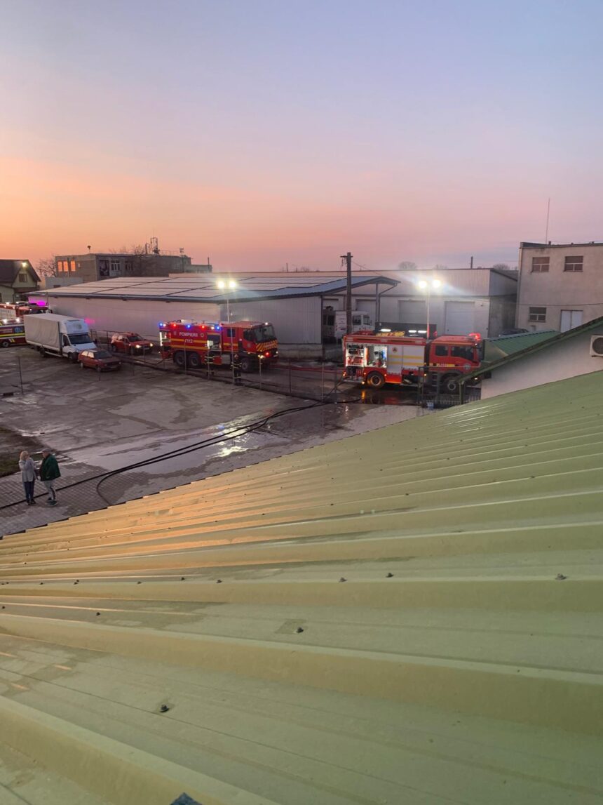 incendiu intr o hala din carei flacarile au cuprins un depozit de lemne 69afd7263a332