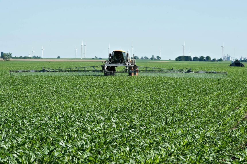 its not sustainable us farmers reeling as iran war pushes fertilizer costs up 69bd2c81e17cf