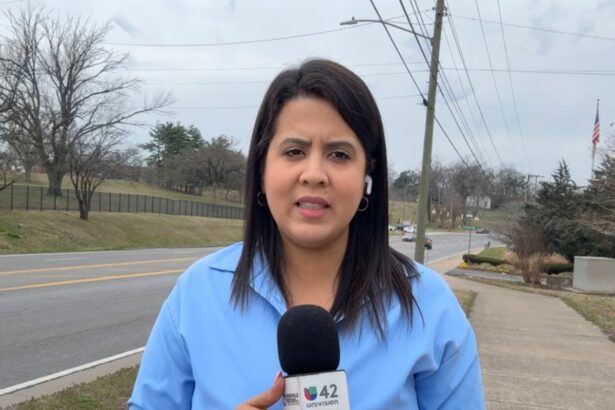 journalist arrested by ice released after 15 days in detention 69bca472ca653