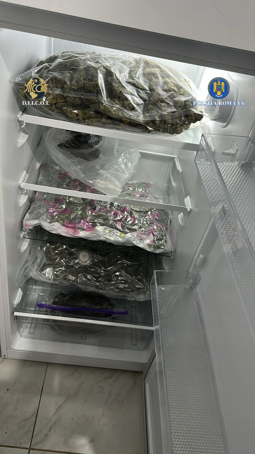 kilograme de canabis ridicate de la 5 tineri din valcea unul dintre el e acuzat si de proxenetism 69bab63b45a99