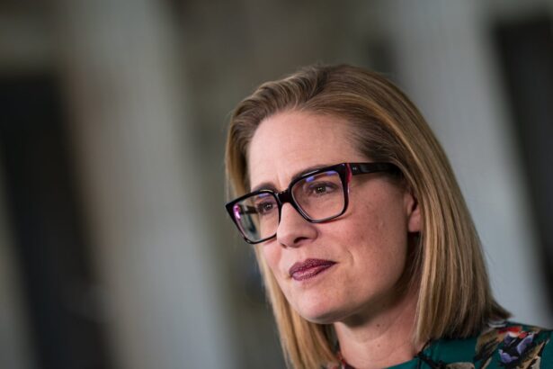 kyrsten sinema says in court filings she had a romantic relationship with guard 69b48ba0e56e6