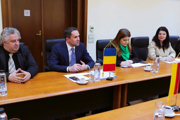 ministrul transporturilor discutie cu ambasadorii austriei si germaniei despre regiunea dunarii 69b974179ef9b