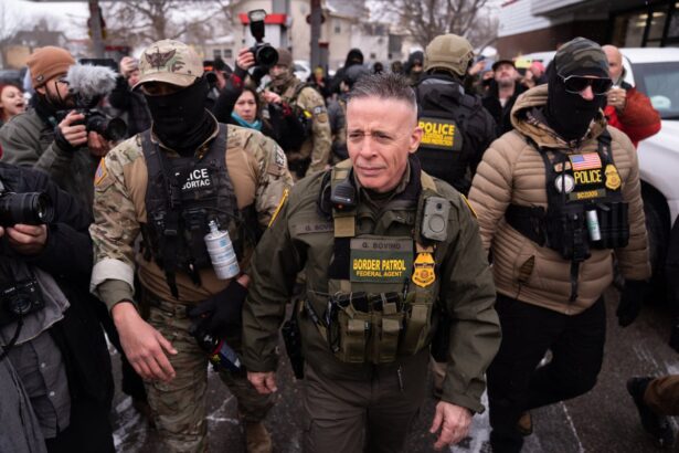 minnesota launches investigation that could bring charges against us immigration officers 69a71502c2e28