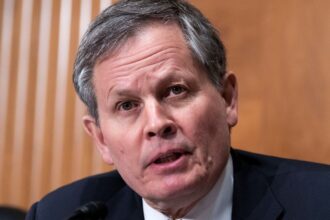 montana republican steve daines drops senate re election bid minutes before deadline 69a8dccc31456