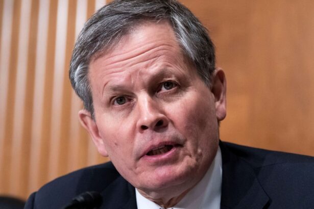 montana republican steve daines drops senate re election bid minutes before deadline 69a8dccc31456