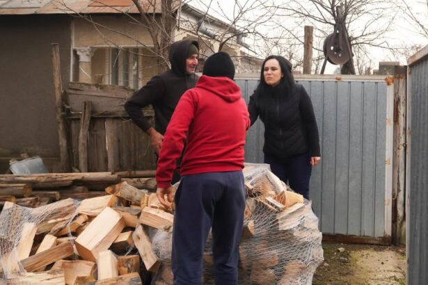 munca din gospodarie poate aduce pensie si asigurare medicala 69c7c7fb9fd32