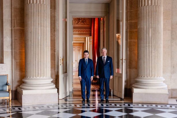 nicusor dan intalnire cu regele philippe al belgiei 69bd70e0d8feb