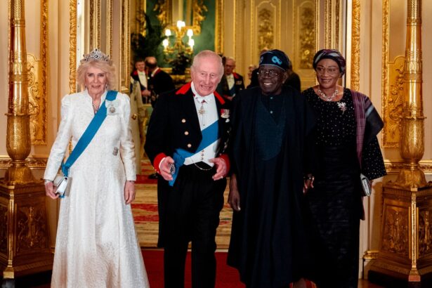 nigeria takes its place on world stage in quest to become regional superpower 69c63662e3c4c