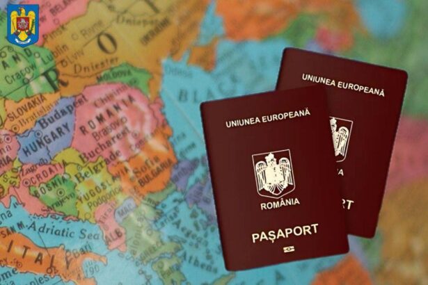 occidentalii isi parasesc tarile in numar record urmarile economice vor fi resimtite atat acasa cat si in tarile de destinatie 69c231312fd03