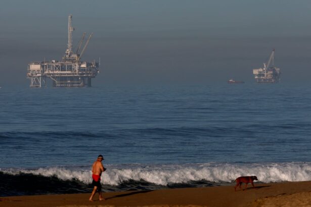 oil flows again through controversial california pipeline after trump order 69b9ae57385b3