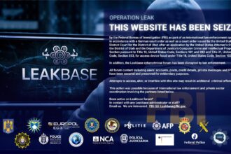 parole carduri bancare si identitati digitale vandute online cinci romani cercetati dupa o operatiune in 13 tari 69a99d49ddac5