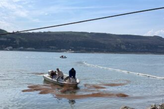 poluare accidentala pe fluviul dunarea in zona turnu magurele dupa scufundarea unei nave 69c50fda95c6a