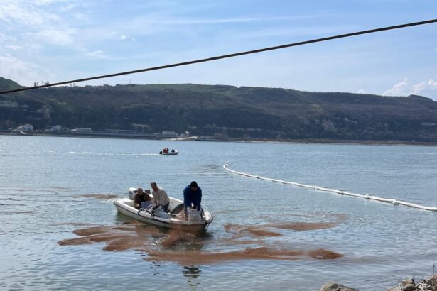 poluare accidentala pe fluviul dunarea in zona turnu magurele dupa scufundarea unei nave 69c50fda95c6a