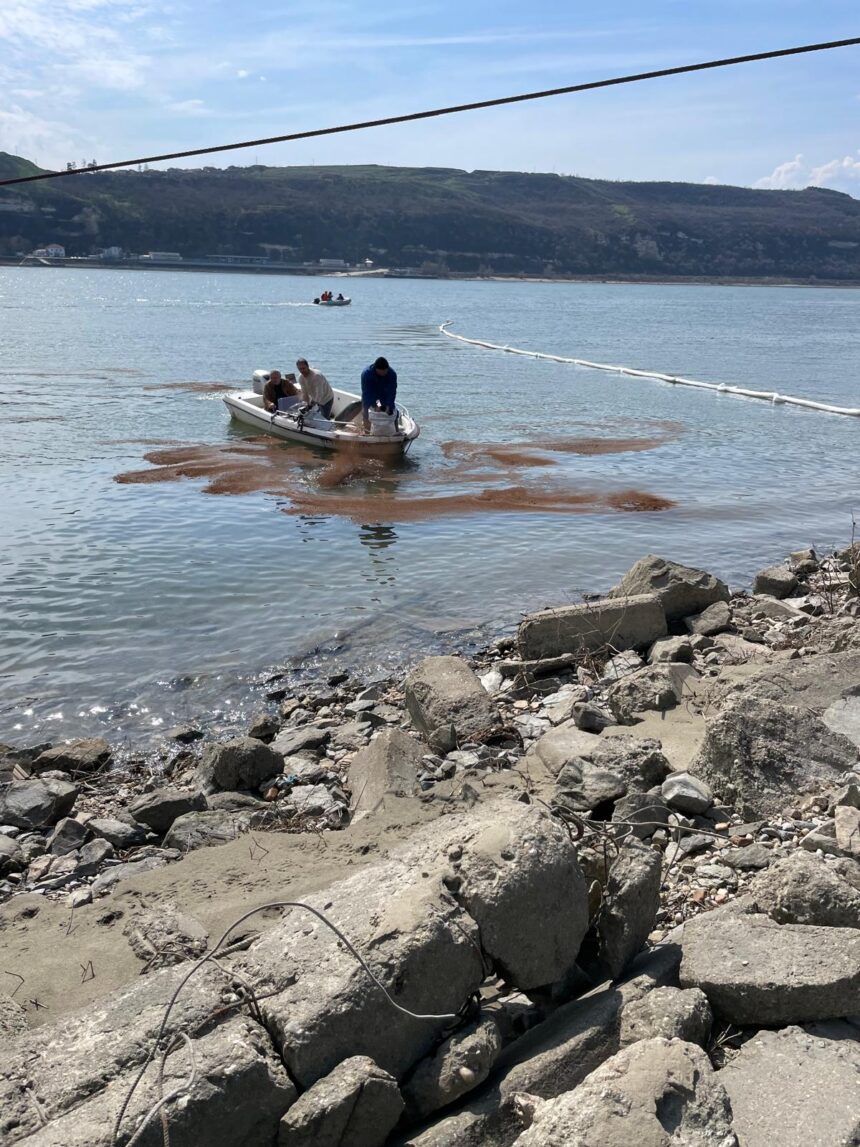 poluare accidentala pe fluviul dunarea in zona turnu magurele dupa scufundarea unei nave 69c50fda95c6a
