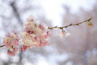 prognoza pentru 2 saptamani cum va fi vremea de pastele catolic si cel ortodox 69ca4dcfd0ed3