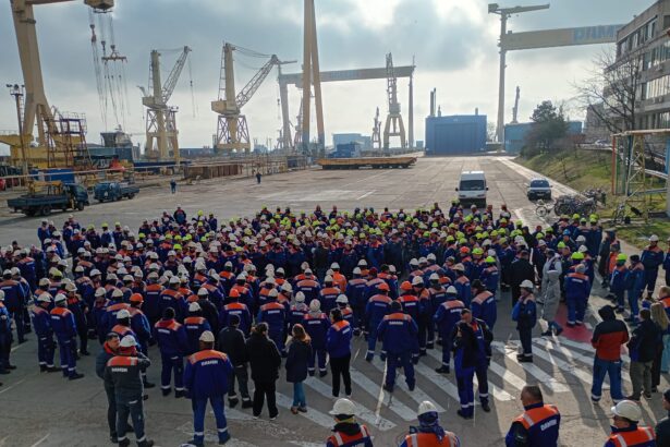 protest la santierul naval damen mangalia dupa intarzieri repetate ale salariilor 69bba44d2e2fa