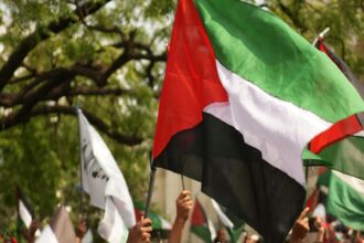 protest pro palestina duminica in bucuresti jandarmeria capitalei anunta masuri speciale de ordine publica in zona tnb 69c69291a2792