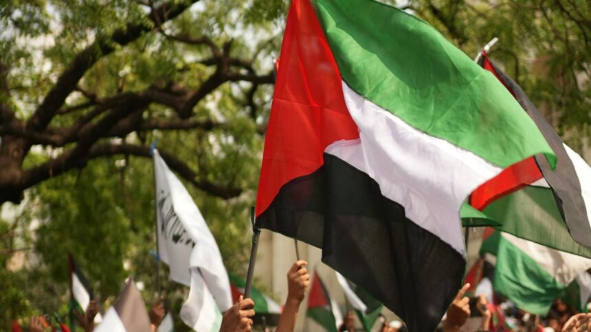 protest pro palestina duminica in bucuresti jandarmeria capitalei anunta masuri speciale de ordine publica in zona tnb 69c69291a2792