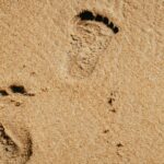 rezervor de gaz ingropat ilegat sub nisip pe o plaja din navodari controale pe tot litoralul 69aef4e549fc9