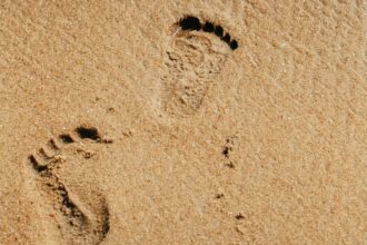 rezervor de gaz ingropat ilegat sub nisip pe o plaja din navodari controale pe tot litoralul 69aef4e549fc9