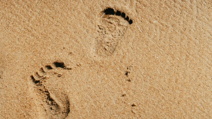 rezervor de gaz ingropat ilegat sub nisip pe o plaja din navodari controale pe tot litoralul 69aef4e549fc9