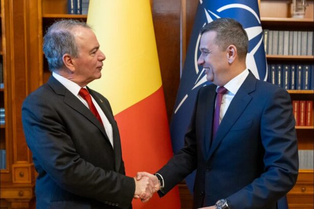 sorin grindeanu intrevedere cu ambasadorul sua in romania ce au discutat cei doi 69aff226c7962