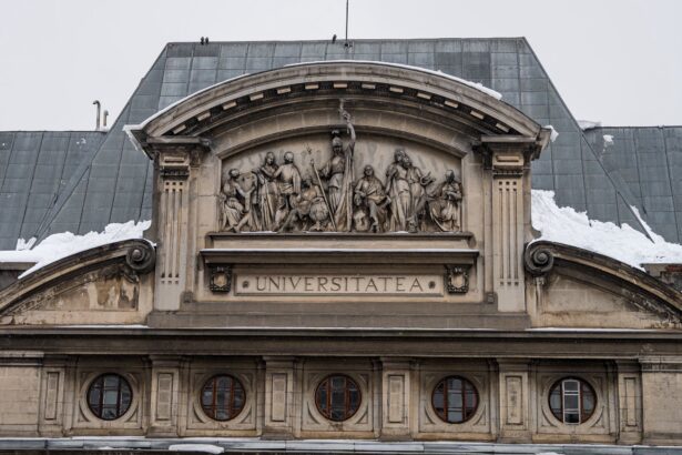 tensiuni la universitatea din bucuresti mai multe cadre universitare avertizeaza asupra pericolului desfiintarii unor programe din cadrul universitatii unele considerate unice 69b4226c6a7a4