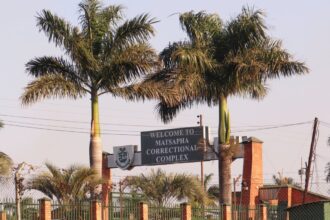 three men deported by us file legal case against eswatini over detention 69a9af456eb87