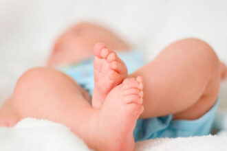 tortilla de porumb din california trebuie acum sa contina acid folic pentru a evita malformatiile la bebelusi 69ca017fdd808