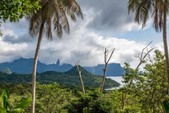 villagers on principe the african galapagos to be paid for protecting the ecosystem 69b106d4e61be