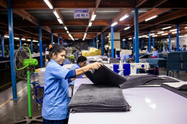 anofm 179 locuri de munca vacante in spatiul economic european 69df6b8fdb6e5