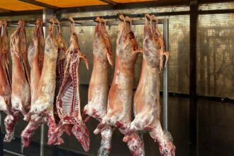 anpc amenzi de peste 63 milioane de euro la comerciantii de carne de miel dar si fastfood uri 69d0d139f013e