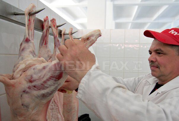 avertisment anpc inainte de paste ce risti sa pui pe masa fara sa stii 69ce67c7a2894