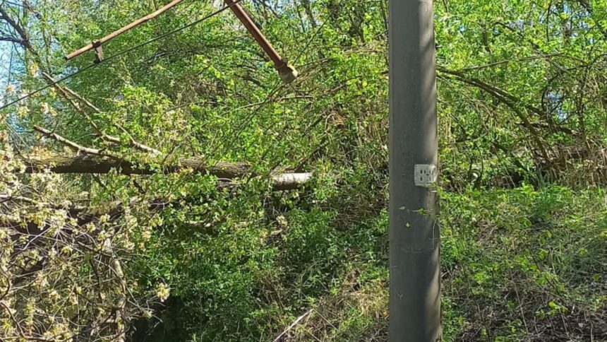 cfr circulatia trenurilor oprita temporar pe doua trasee din tara din cauza copacilor cazuti 69ee16461c511