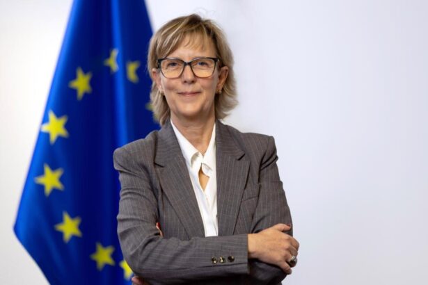 comisarul european pentru servicii financiare vine in vizita in romania 69e8e1e79d15a