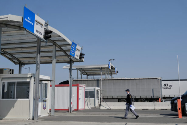 controale ample asupra importurilor de produse perisabile demarate de autoritatea vamala romana in urma suspiciunilor de frauda 69d34ebb85a0f