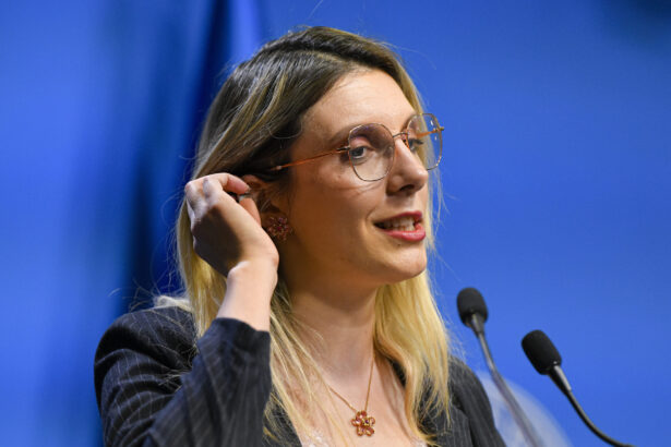 diana buzoianu spune ca programul rabla este in asteptare si depinde de aprobarea bugetului afm 69eca6756b790