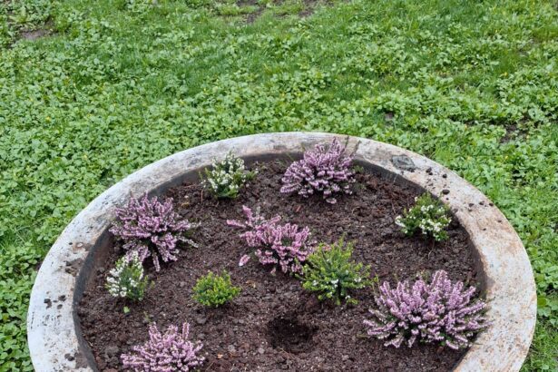 florile din parcul chismigiu pazite de politisti locali sute de flori furate in cateva zile 69d0d4b582235