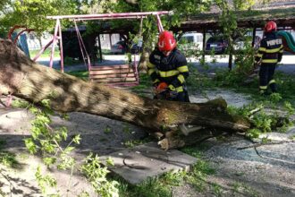 igsu un mort si trei raniti vantul puternic de duminica a afectat 72 de localitati din tara 69ef01db4e16c
