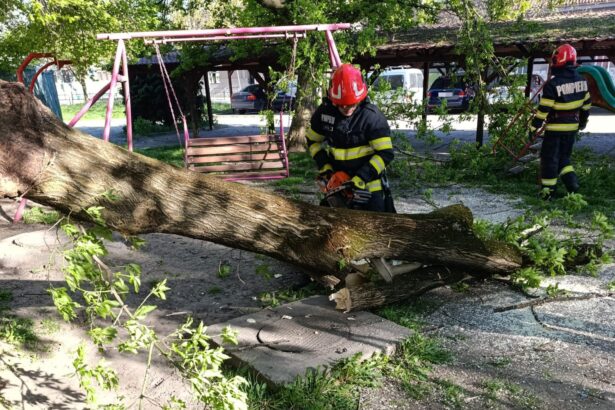 igsu un mort si trei raniti vantul puternic de duminica a afectat 72 de localitati din tara 69ef01db4e16c