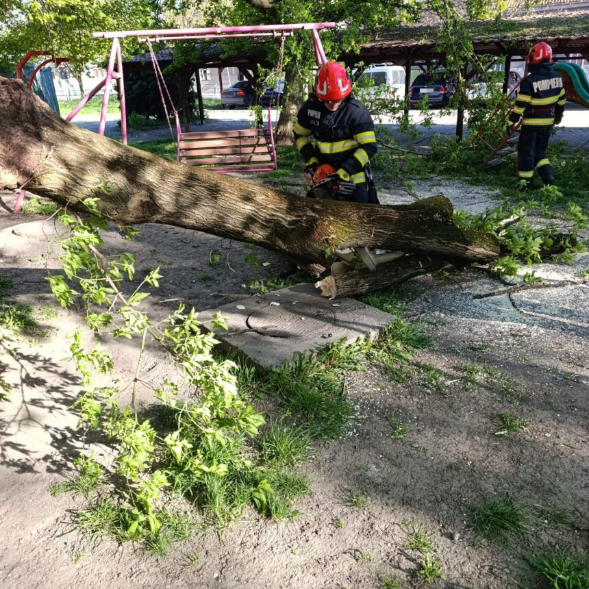igsu un mort si trei raniti vantul puternic de duminica a afectat 72 de localitati din tara 69ef01db4e16c