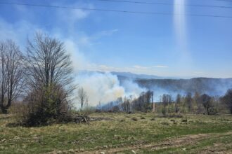 incendiu de vegetatie intetit in judetul hunedoara din cauza vantului puternic pompierii intervin 69ee20c63b3be