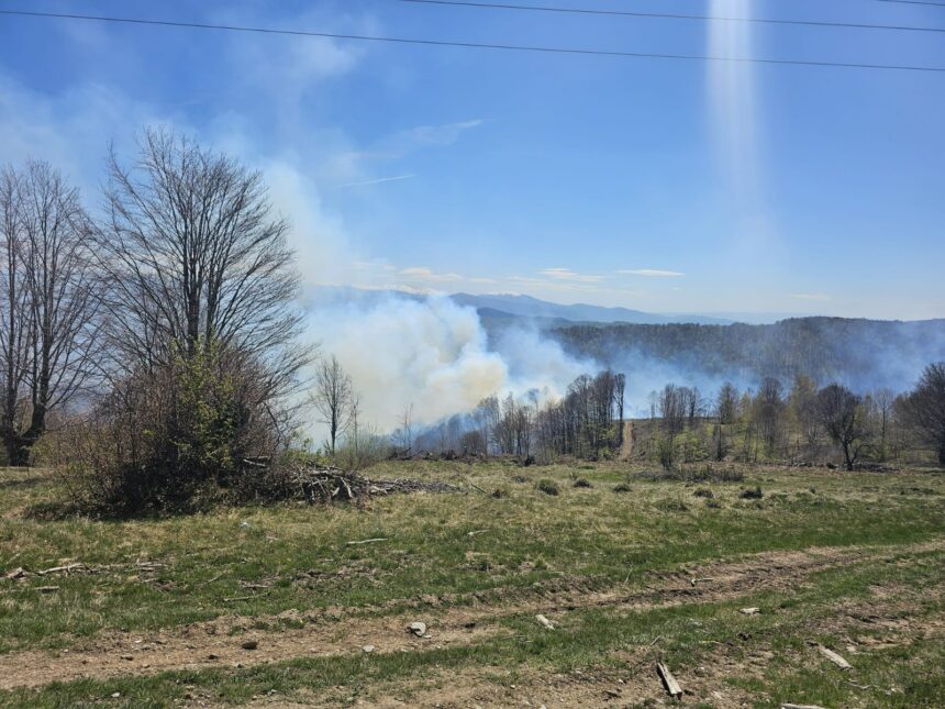 incendiu de vegetatie intetit in judetul hunedoara din cauza vantului puternic pompierii intervin 69ee20c63b3be